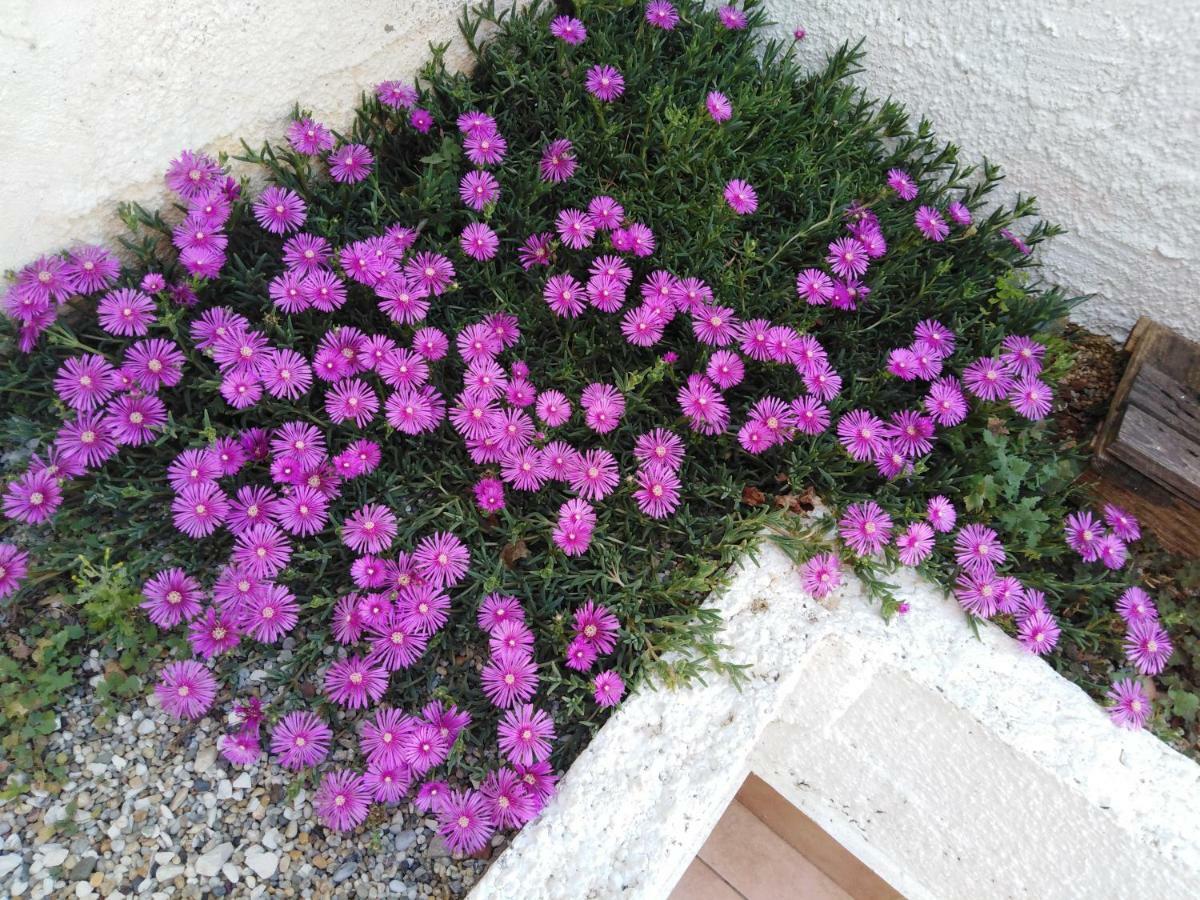 PUY Apartments Neno מראה חיצוני תמונה